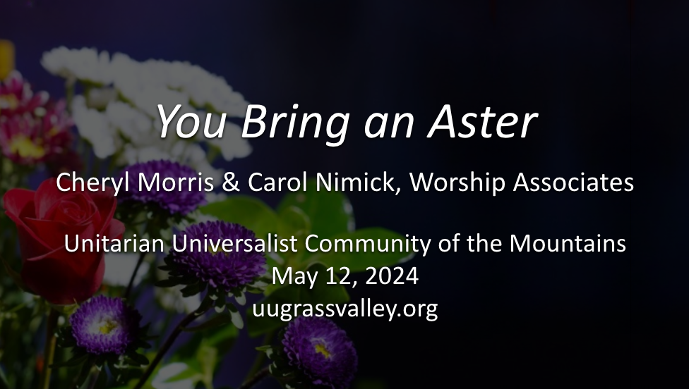 You Bring an Aster…