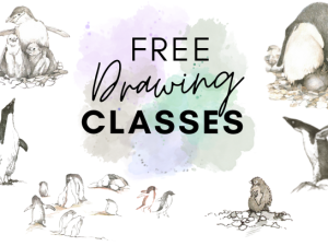 "Free Drawing Classes" drawings of penguins from Jenny Dewey's book, 'Antarctic Journal' (1999)