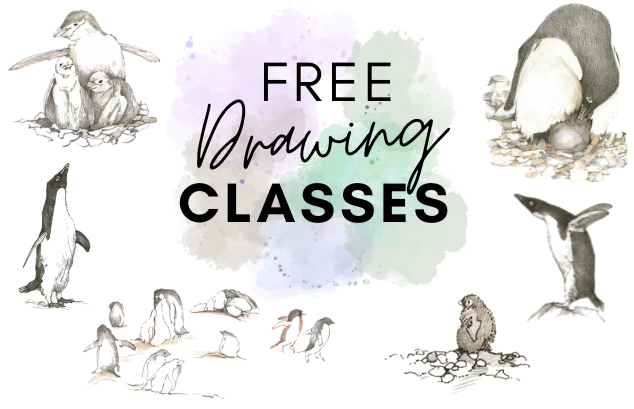 "Free Drawing Classes" drawings of penguins from Jenny Dewey's book, 'Antarctic Journal' (1999)